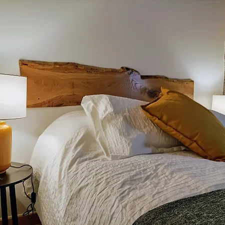 Chalet Casa Ribeiro Sabugueiro (Guarda)