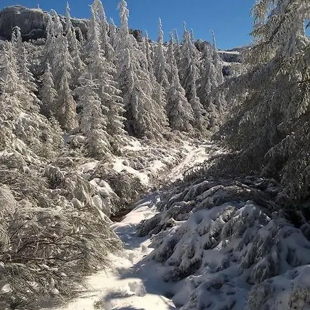 Casa Ribeiro Sabugueiro (Guarda)