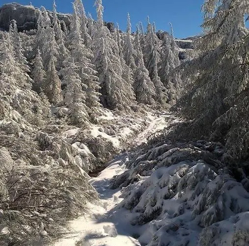 Casa Ribeiro Sabugueiro (Guarda)